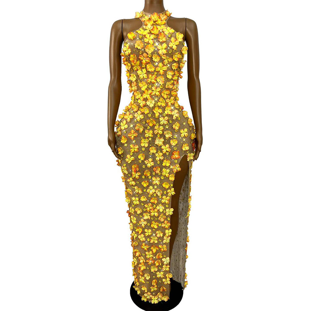 Women Fashion Photoshoot - Robe de soirée sexy et tendance,